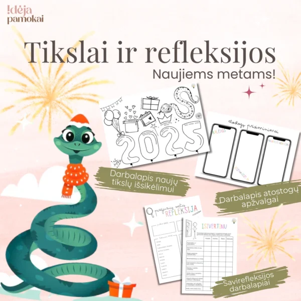 Metų tikslai ir savirefleksija