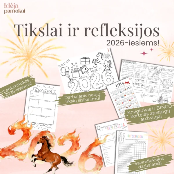 Metų tikslai ir refleksijos